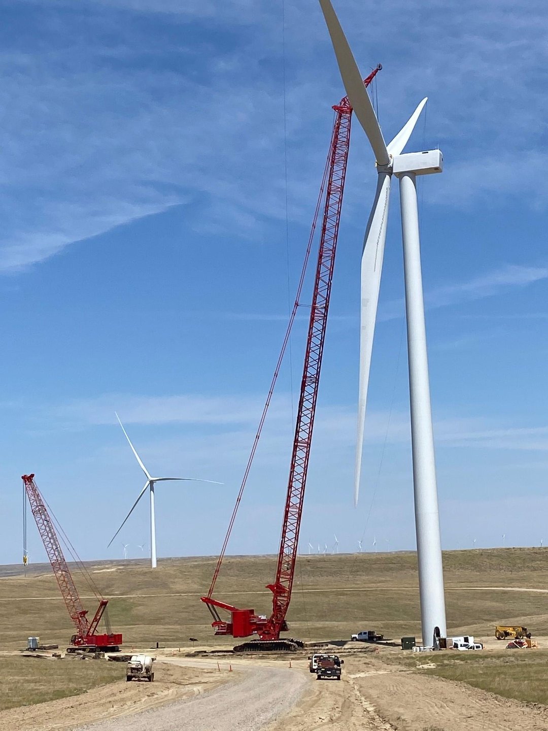 Cedar springs wind